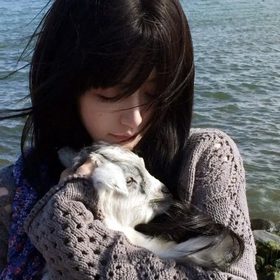 野良猫洛克:女番长