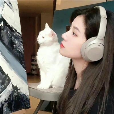 网美嬉游记